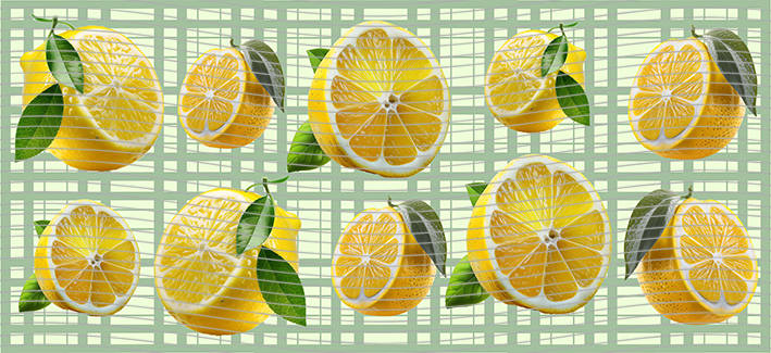 16oz delicacy-DE-398